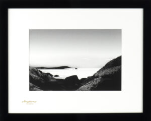 THE BEAUTY OF NATURE